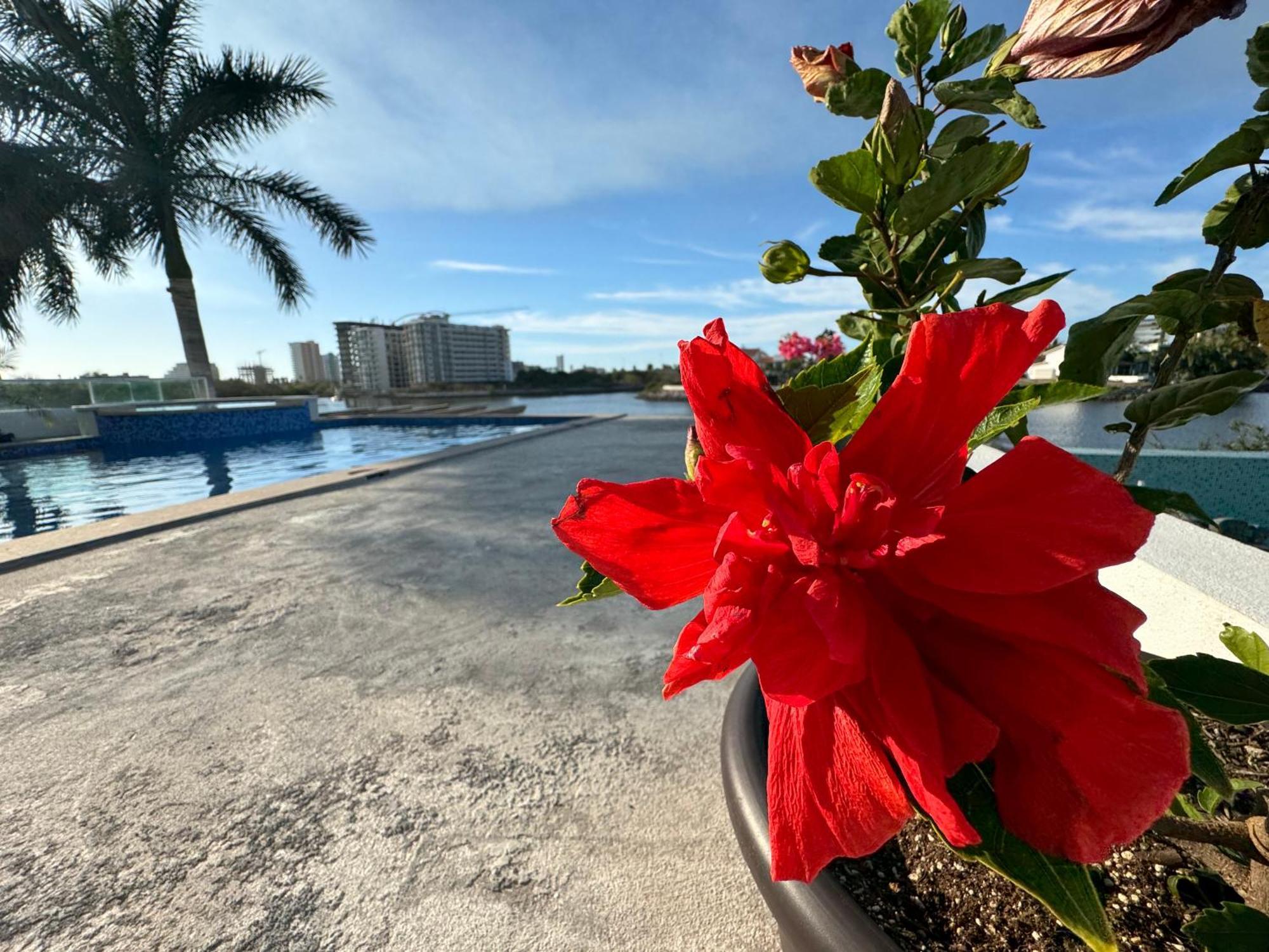 Casa Isla Marina Vista Al Mar 20 Personas Villa มาซาตลัน ภายนอก รูปภาพ